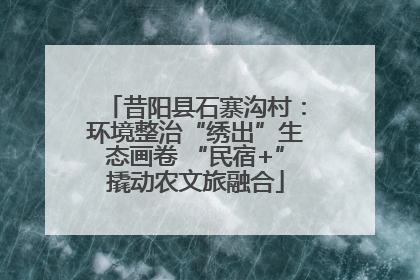 昔阳县石寨沟村：环境整治“绣出”生态画卷 “民宿+”撬动农文旅融合
