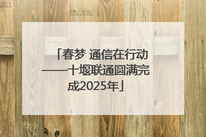 春梦 通信在行动——十堰联通圆满完成2025年
