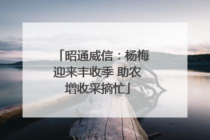 昭通威信：杨梅迎来丰收季 助农增收采摘忙