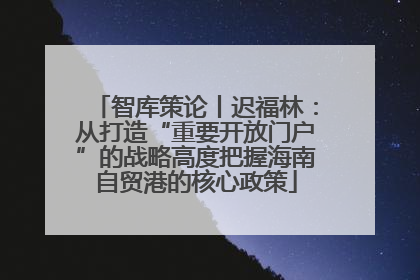 智库策论丨迟福林：从打造“重要开放门户”的战略高度把握海南自贸港的核心政策