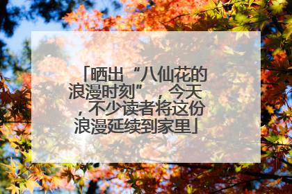 晒出“八仙花的浪漫时刻”，今天，不少读者将这份浪漫延续到家里