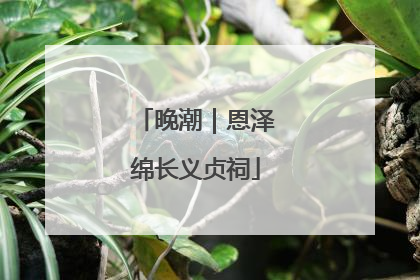 晚潮｜恩泽绵长义贞祠
