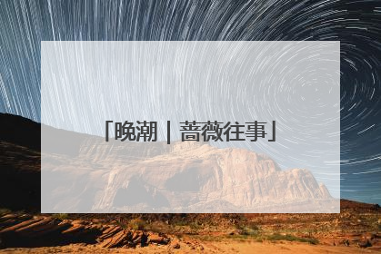 晚潮｜蔷薇往事