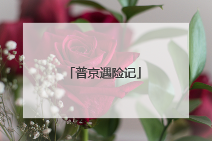 普京遇险记