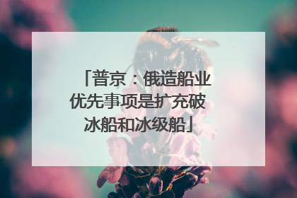 普京：俄造船业优先事项是扩充破冰船和冰级船
