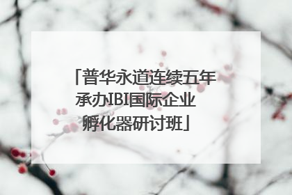 普华永道连续五年承办IBI国际企业孵化器研讨班