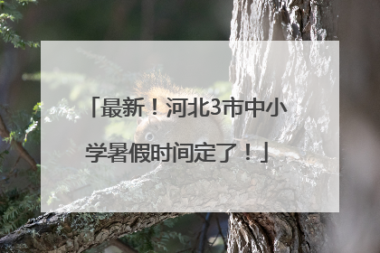 最新！河北3市中小学暑假时间定了！