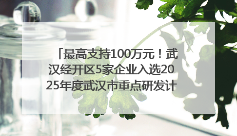 最高支持100万元！武汉经开区5家企业入选2025年度武汉市重点研发计划拟立项项目名单