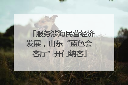 服务涉海民营经济发展，山东“蓝色会客厅”开门纳客