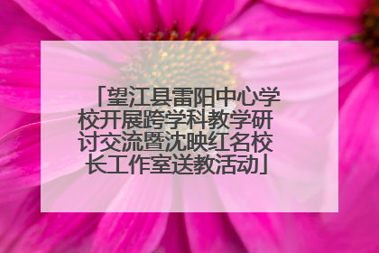 望江县雷阳中心学校开展跨学科教学研讨交流暨沈映红名校长工作室送教活动