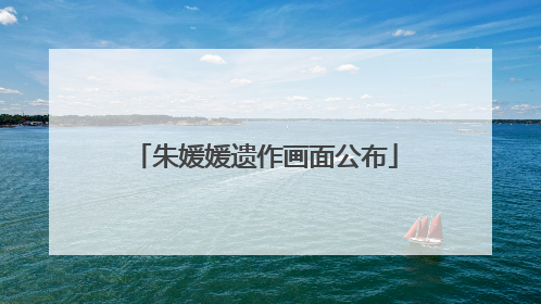 朱媛媛遗作画面公布