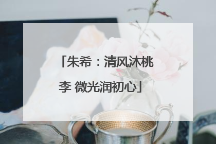 朱希：清风沐桃李 微光润初心