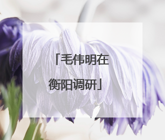 毛伟明在衡阳调研