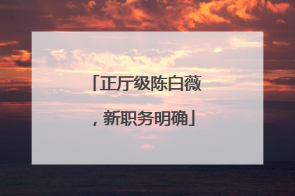 正厅级陈白薇，新职务明确