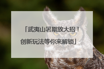 武夷山暑期放大招！创新玩法等你来解锁