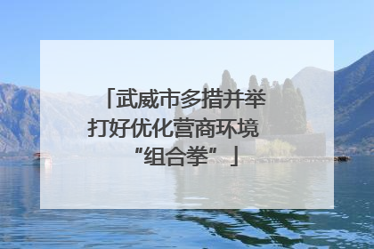 武威市多措并举打好优化营商环境“组合拳”