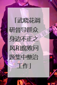 武晓花调研督导群众身边不正之风和腐败问题集中整治工作