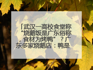 武汉一高校食堂称“烧鹅饭是广东俗称，食材为烤鸭”？广东多家烧鹅店：鸭是鸭鹅是鹅