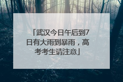 武汉今日午后到7日有大雨到暴雨，高考考生请注意
