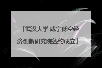 武汉大学·咸宁低空经济创新研究院签约成立