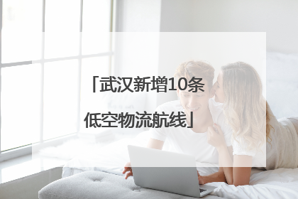 武汉新增10条低空物流航线