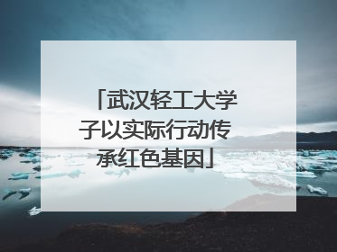 武汉轻工大学子以实际行动传承红色基因