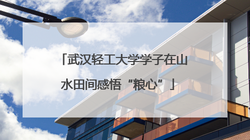 武汉轻工大学学子在山水田间感悟“粮心”