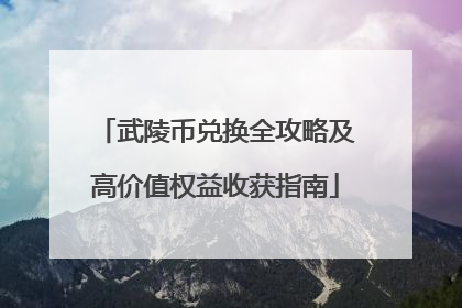 武陵币兑换全攻略及高价值权益收获指南