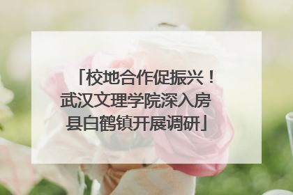 校地合作促振兴！武汉文理学院深入房县白鹤镇开展调研