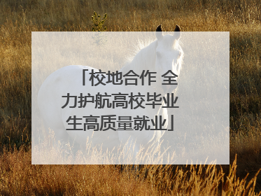 校地合作 全力护航高校毕业生高质量就业