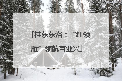 桂东东洛：“红领雁”领航百业兴