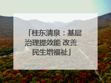 桂东清泉：基层治理提效能 改善民生增福祉
