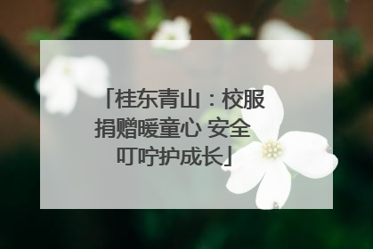 桂东青山：校服捐赠暖童心 安全叮咛护成长