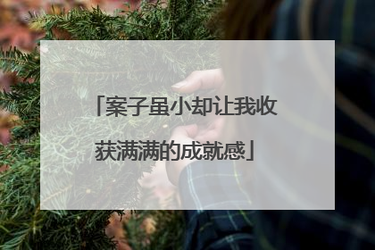 案子虽小却让我收获满满的成就感
