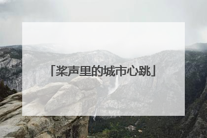 桨声里的城市心跳