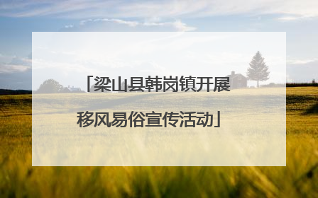 梁山县韩岗镇开展移风易俗宣传活动
