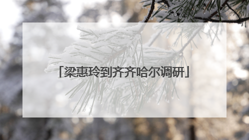 梁惠玲到齐齐哈尔调研