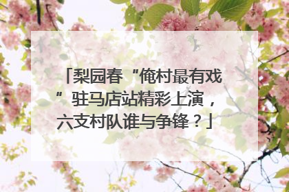 梨园春“俺村最有戏”驻马店站精彩上演，六支村队谁与争锋？