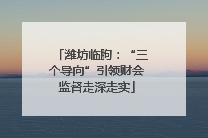 潍坊临朐：“三个导向”引领财会监督走深走实