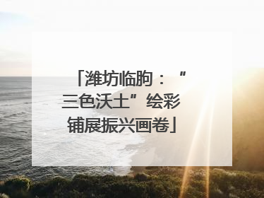 潍坊临朐：“三色沃土”绘彩铺展振兴画卷