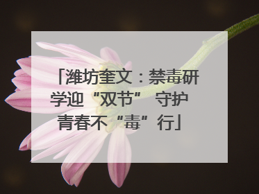 潍坊奎文：禁毒研学迎“双节” 守护青春不“毒”行