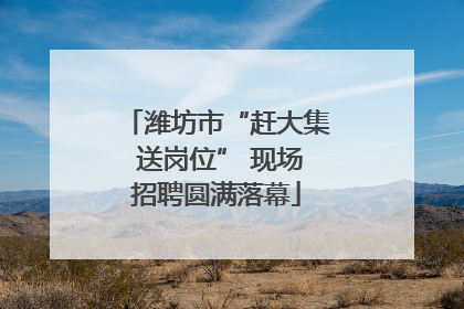 潍坊市“赶大集 送岗位” 现场招聘圆满落幕