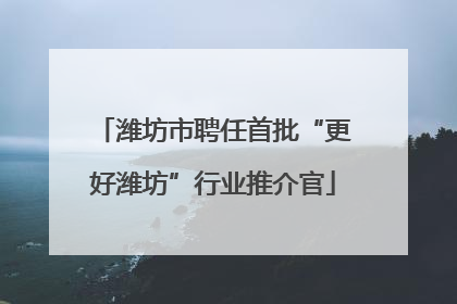 潍坊市聘任首批“更好潍坊”行业推介官