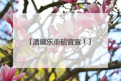潘展乐重磅官宣！