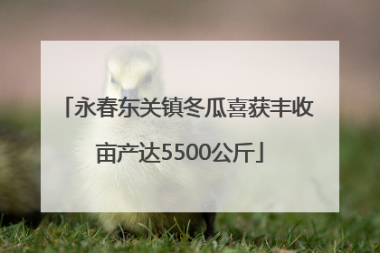 永春东关镇冬瓜喜获丰收 亩产达5500公斤