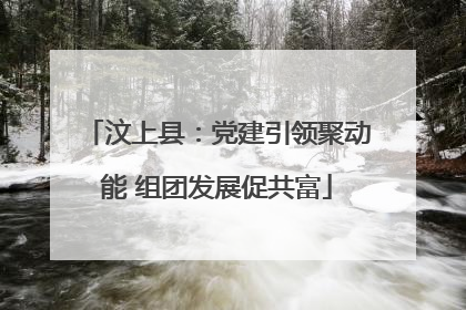 汶上县：党建引领聚动能 组团发展促共富