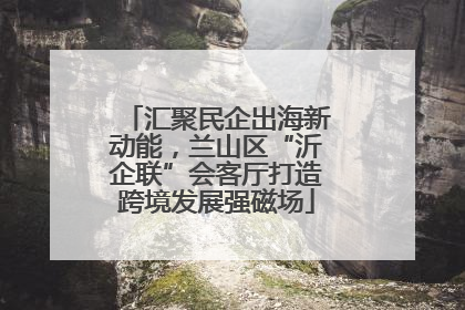 汇聚民企出海新动能，兰山区“沂企联”会客厅打造跨境发展强磁场
