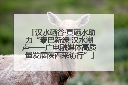 汉水硒谷·真硒水助力“秦巴新绿 汉水潮声——广电融媒体高质量发展陕西采访行”