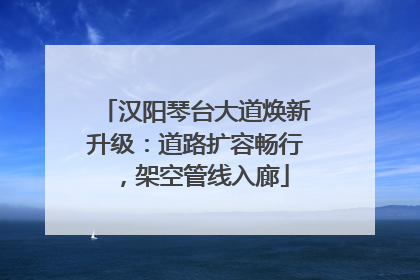 汉阳琴台大道焕新升级：道路扩容畅行，架空管线入廊