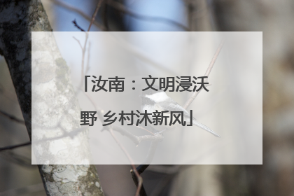 汝南：文明浸沃野 乡村沐新风
